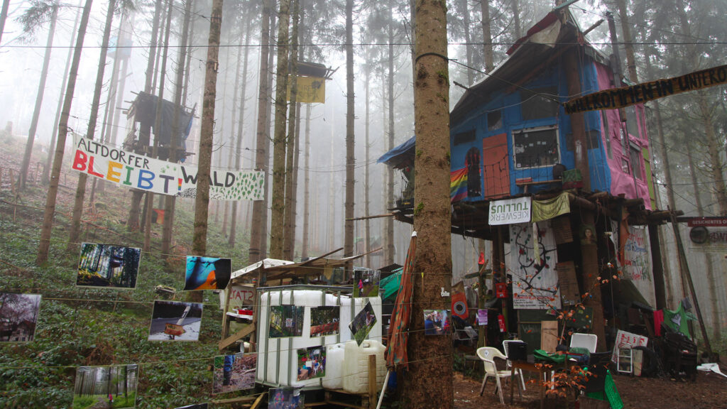 Dans la forêt d'Altdorfer Wald, des cabanes colorées sont perchées dans de grands arbres au milieu du brouillard.