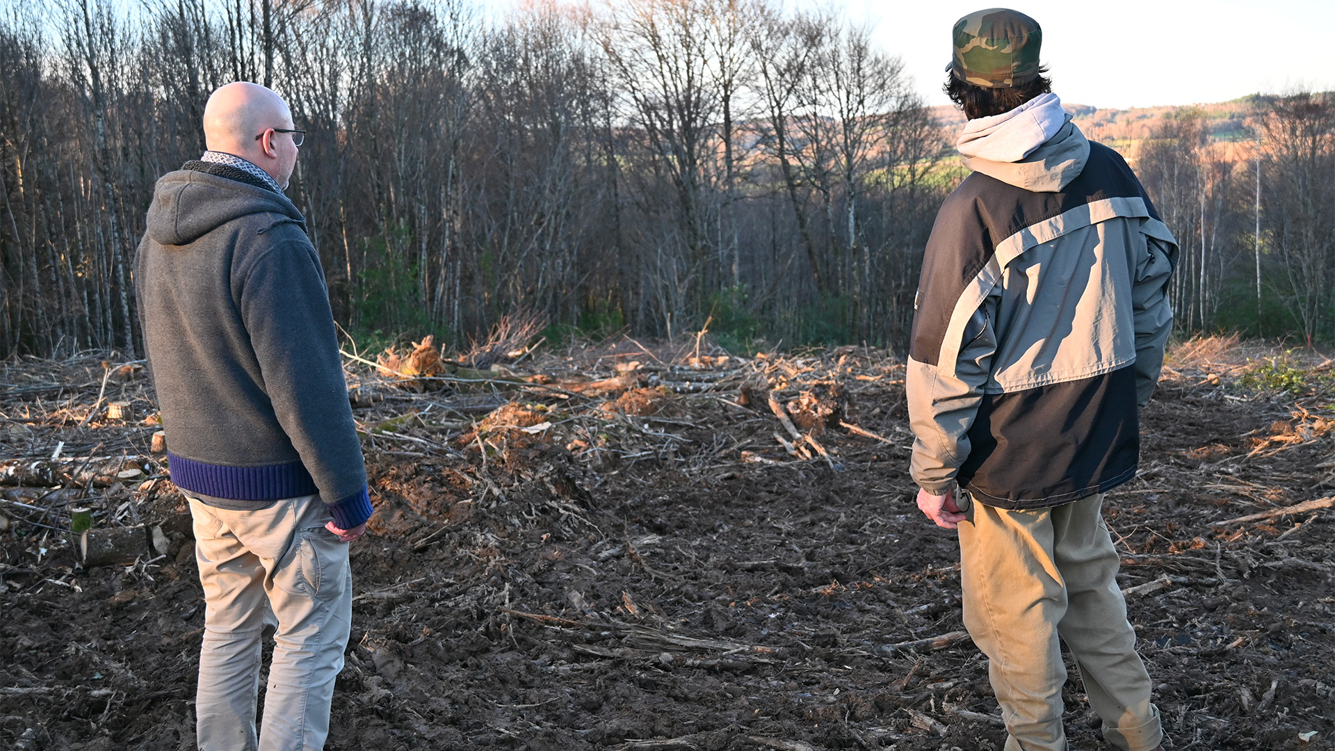 Forêts : racheter pour ne pas raser