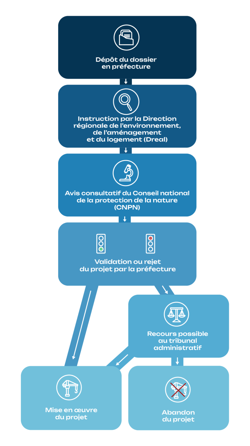 infographie parcours administratif riipm
